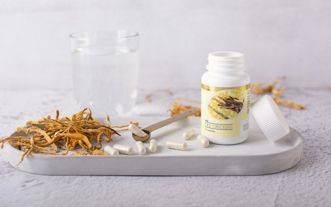 Cordyceps sinensis: qué es y formatos DXN | Cápsulas y polvo