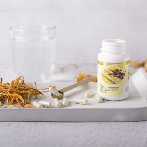 BIO Cordyceps DXN (en polvo)