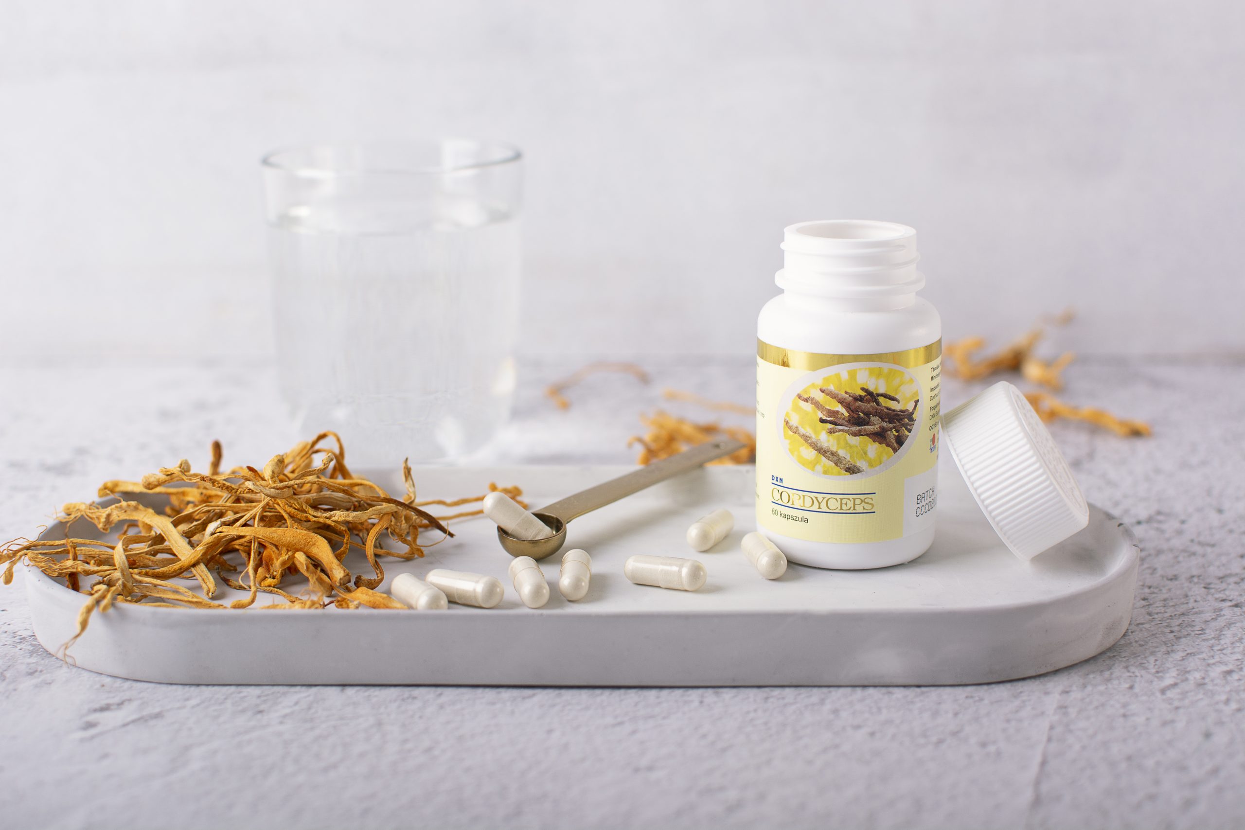 BIO Cordyceps DXN (en polvo) BIO Cordyceps DXN (en polvo)