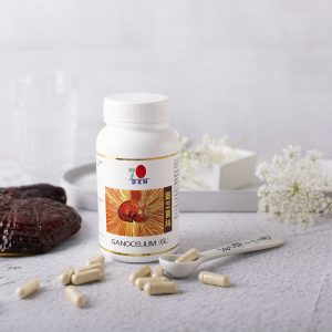 BIO Ganoderma DXN en cápsulas