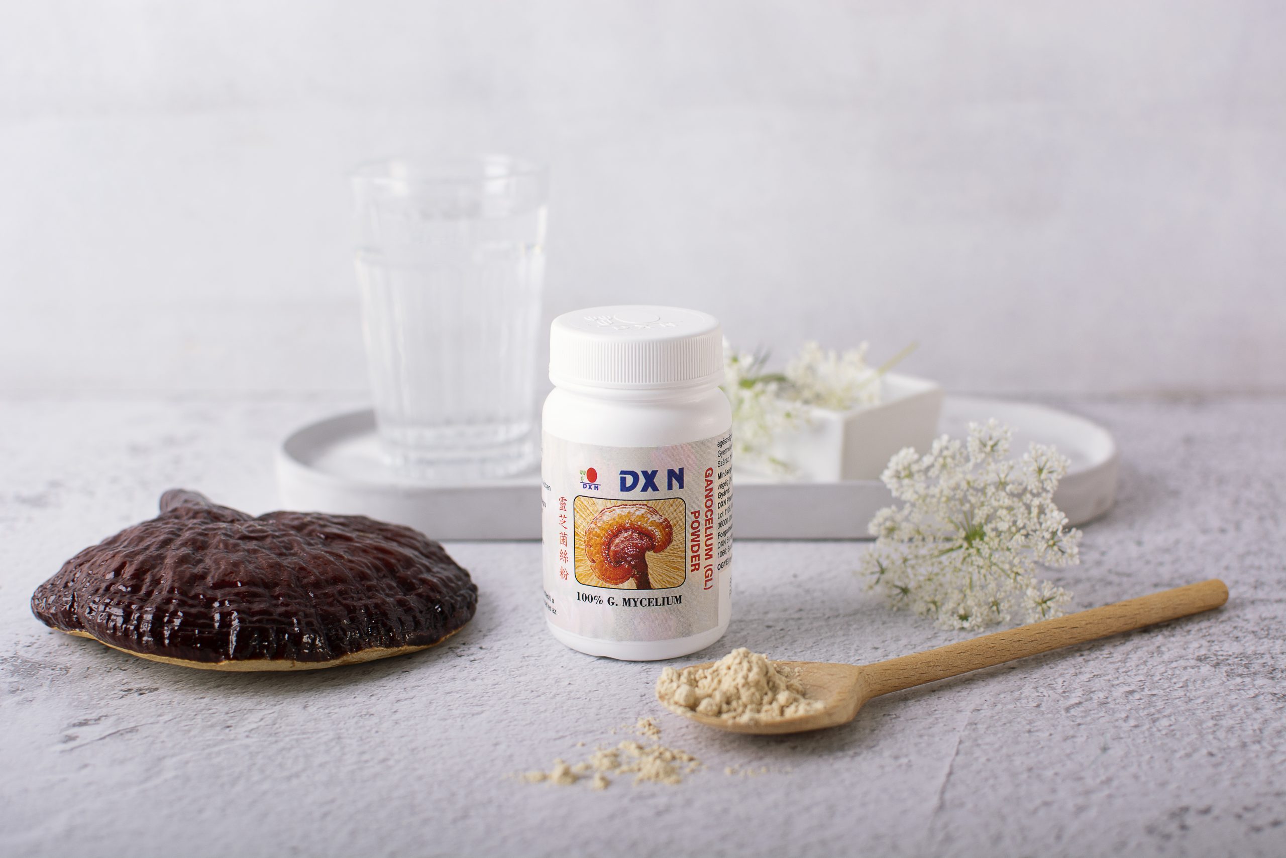 BIO Ganoderma DXN en polvo BIO Ganoderma DXN en polvo