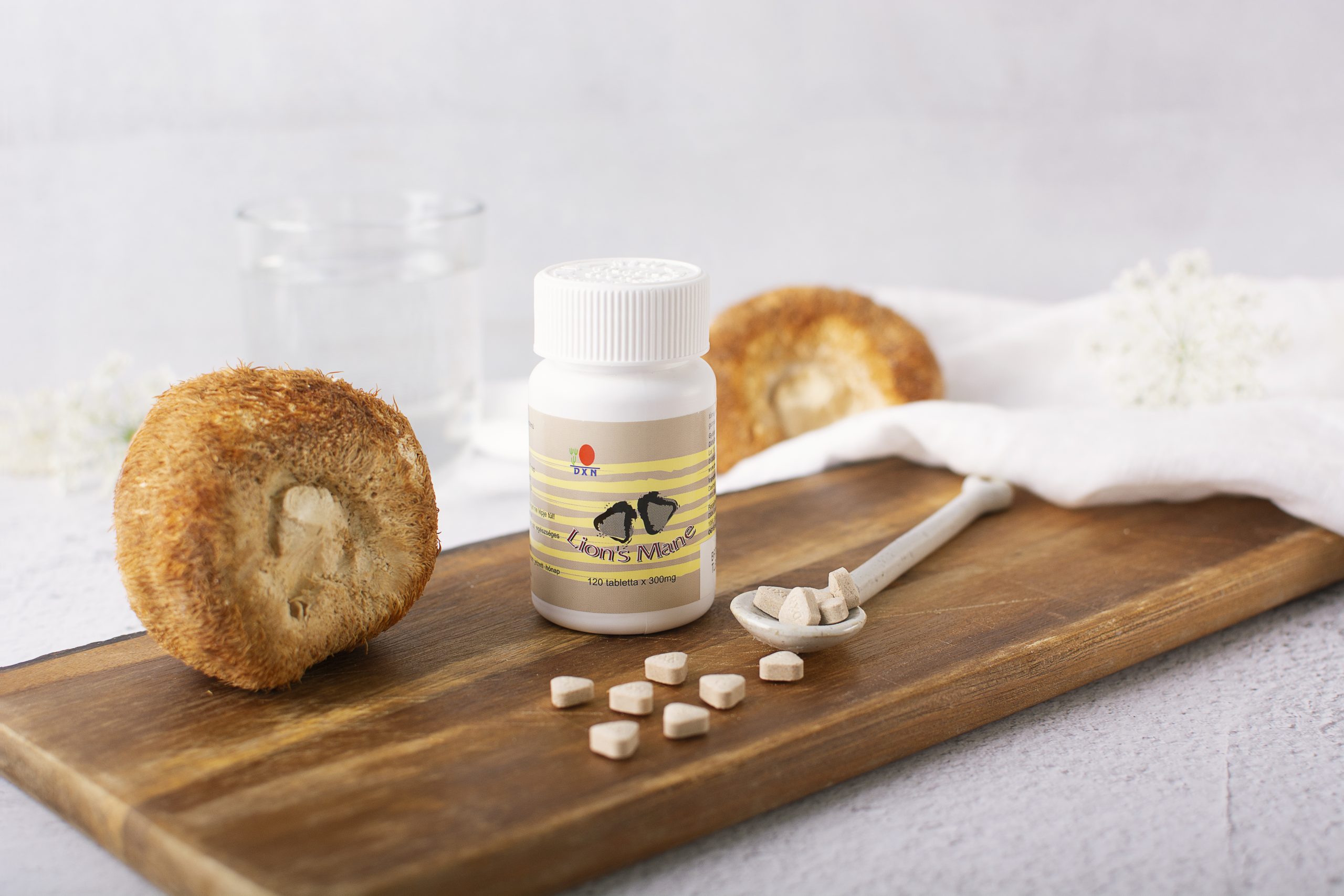 Melena de león DXN Melena de león DXN