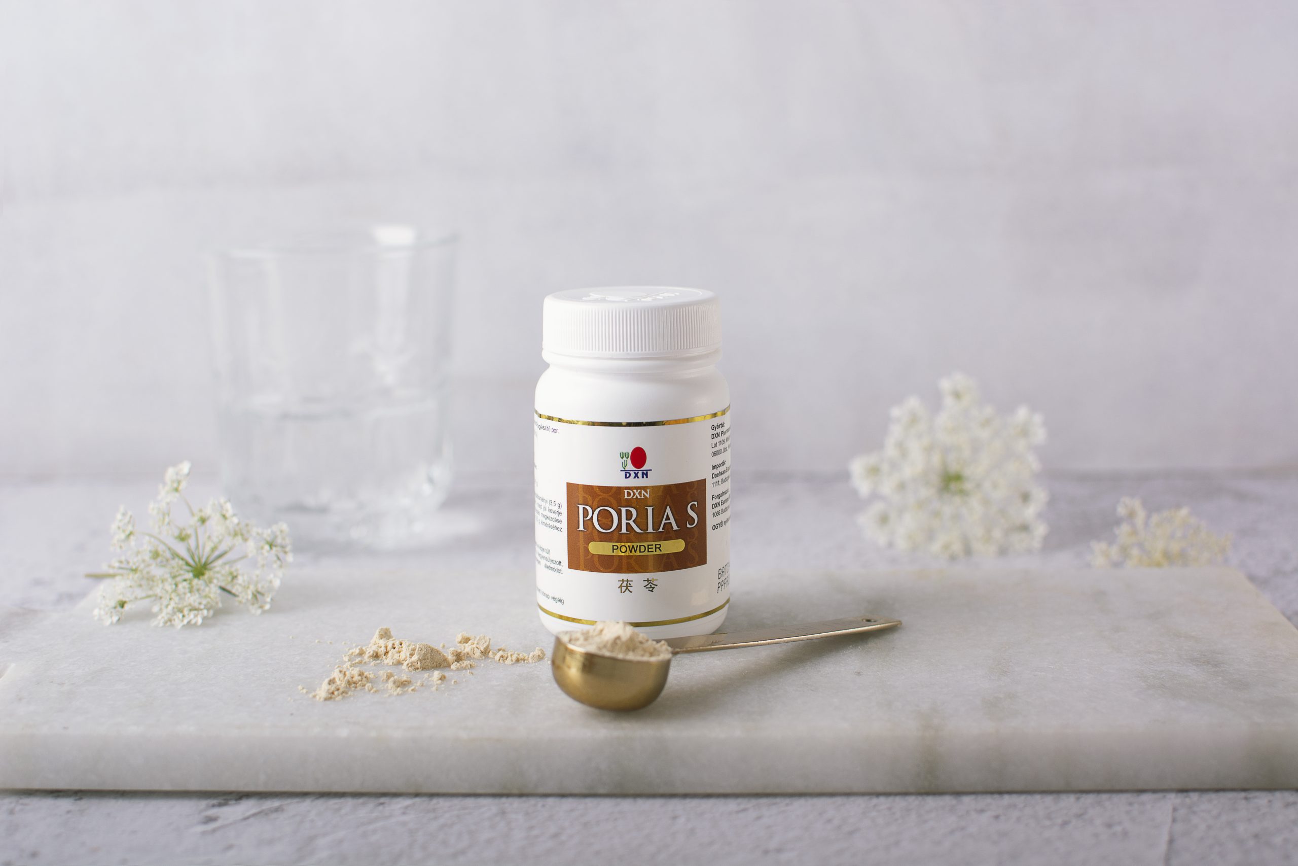 DXN Poria (en polvo) DXN Poria (en polvo)