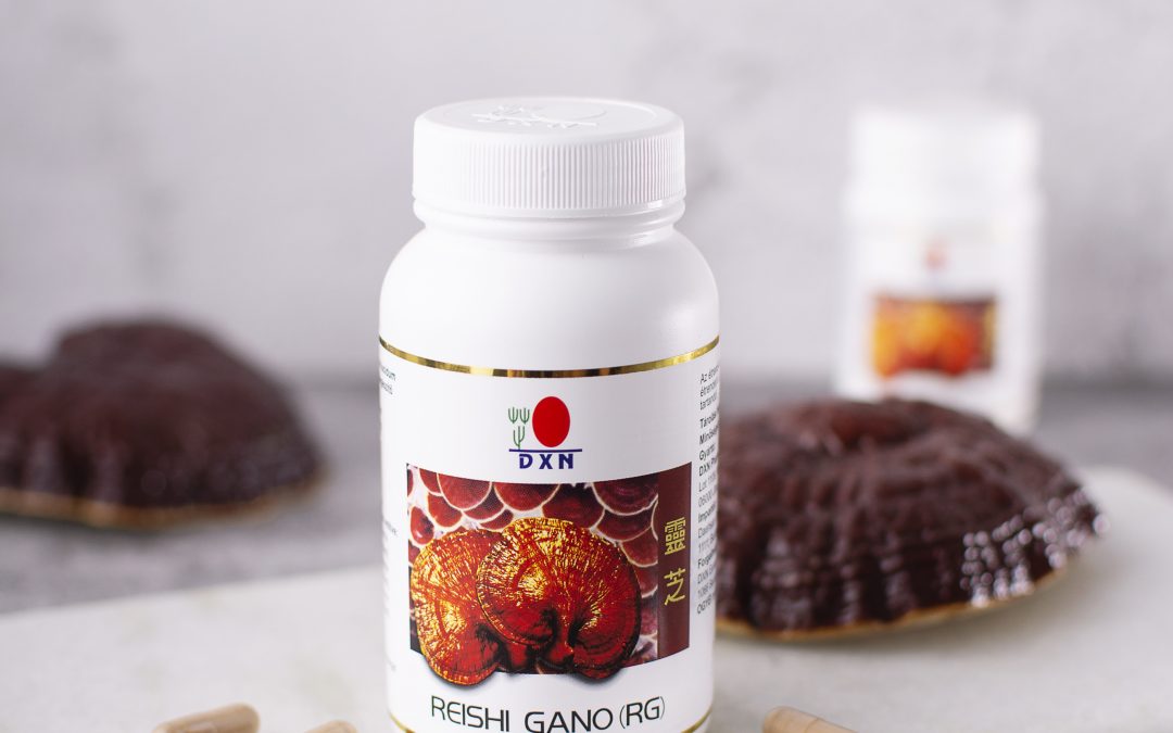 Ganoderma Lucidum: qué es, RG vs GL y cómo tomarlo | DXN