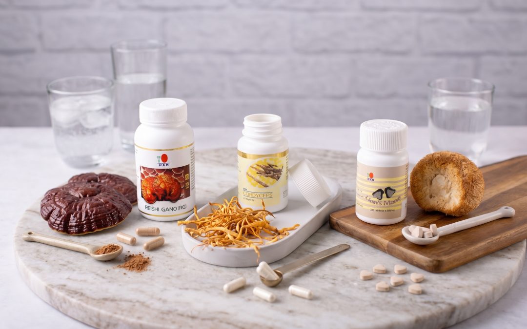 hongos-medicinales-dxn-guia
